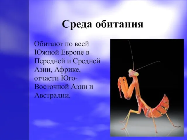 Среда обитания Обитают по всей Южной Европе в Передней и Средней Азии,