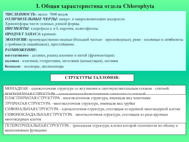 I. Общая характеристика отдела Chlorophyta ЧИСЛЕННОСТЬ: около 7000 видов ОТЛИЧИТЕЛЬНЫЕ ЧЕРТЫ: микро-