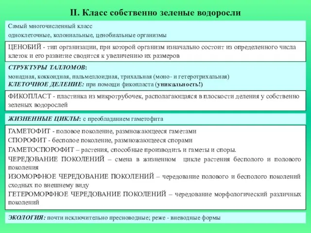 II. Класс собственно зеленые водоросли Самый многочисленный класс одноклеточные, колониальные, ценобиальные организмы