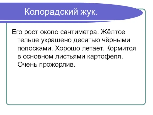 Колорадский жук. Его рост около сантиметра. Жёлтое тельце украшено десятью чёрными полосками.