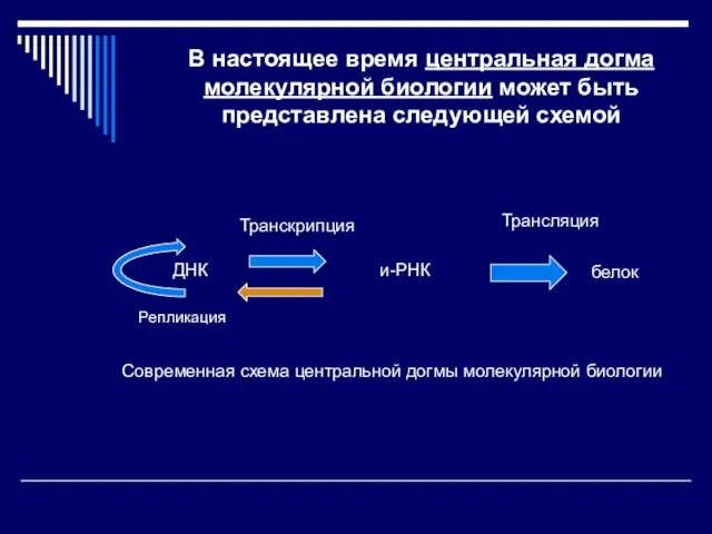 В настоящее время центральная догма молекулярной биологии может быть представлена следующей схемой