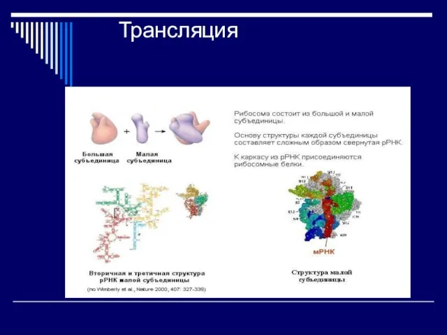 Трансляция