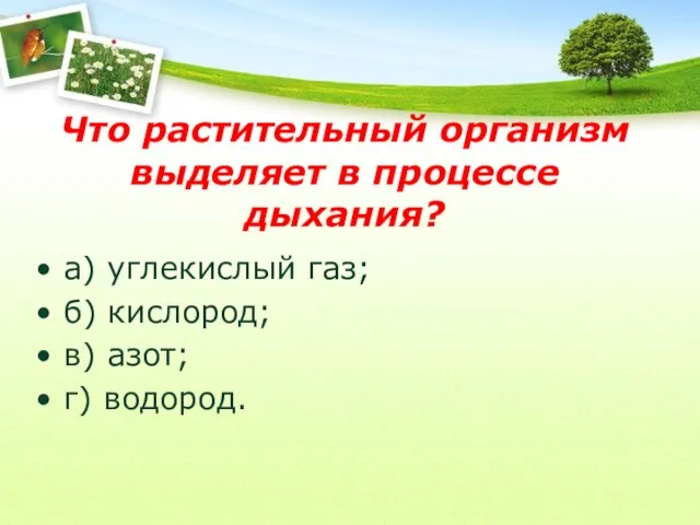 Что растительный организм выделяет в процессе дыхания? а) углекислый газ; б) кислород; в) азот; г) водород.