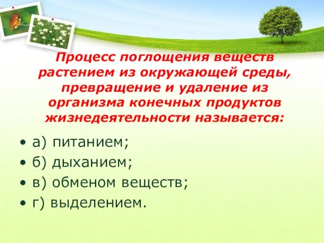 Процесс поглощения веществ растением из окружающей среды, превращение и удаление из организма