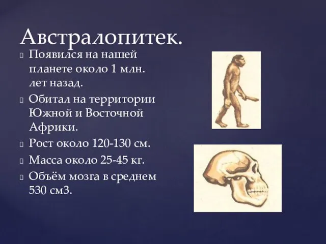 Австралопитек. Появился на нашей планете около 1 млн. лет назад. Обитал на