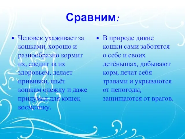 Сравним: Человек ухаживает за кошками, хорошо и разнообразно кормит их, следит за