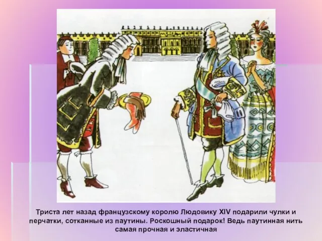 Триста лет назад французскому королю Людовику XIV подарили чулки и перчатки, сотканные