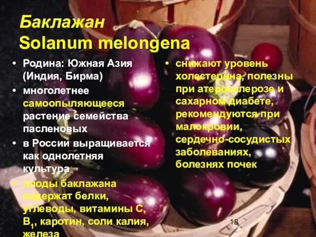 Баклажан Solanum melongena Родина: Южная Азия (Индия, Бирма) многолетнее самоопыляющееся растение семейства