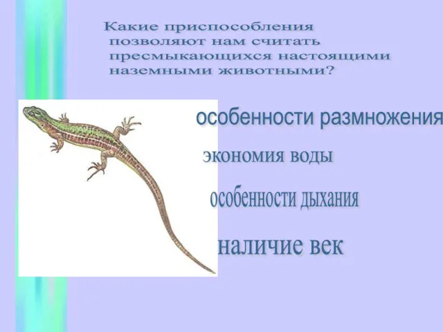 Какие приспособления позволяют нам считать пресмыкающихся настоящими наземными животными? особенности размножения экономия