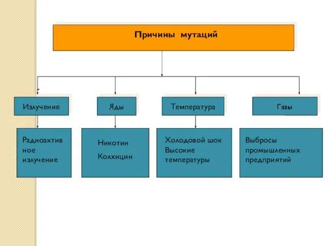 Причины мутаций Излучение Яды Температура Газы Радиоактивное излучение Никотин Колхицин Холодовой шок