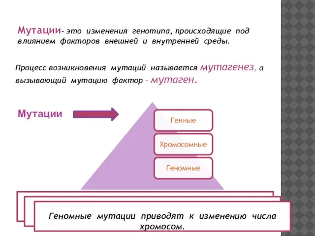 Мутации- это изменения генотипа, происходящие под влиянием факторов внешней и внутренней среды.