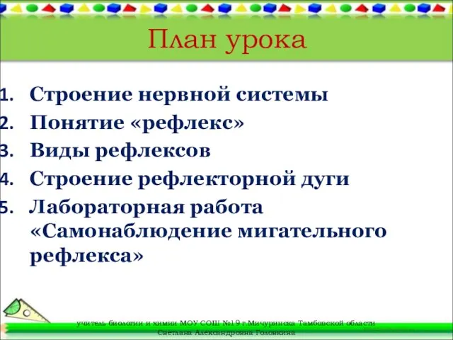 План урока Строение нервной системы Понятие «рефлекс» Виды рефлексов Строение рефлекторной дуги