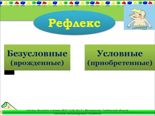 Рефлекс Безусловные (врожденные) Условные (приобретенные) учитель биологии и химии МОУ СОШ №19