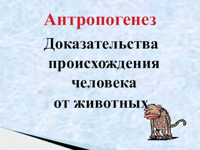 Доказательства происхождения человека от животных Антропогенез