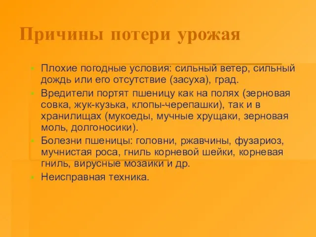 Причины потери урожая Плохие погодные условия: сильный ветер, сильный дождь или его