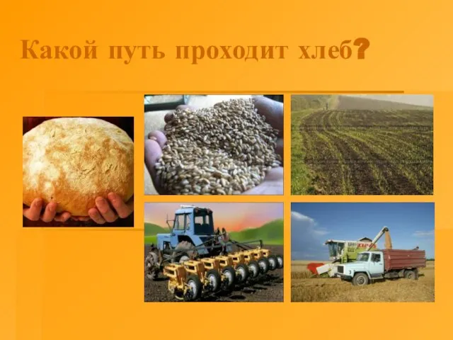 Какой путь проходит хлеб?