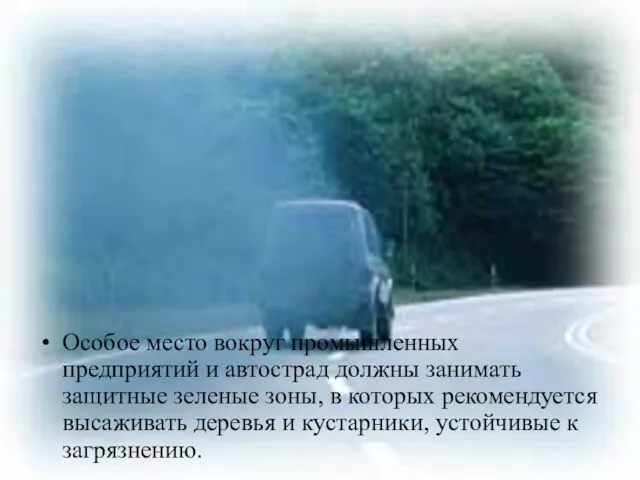 Особое место вокруг промышленных предприятий и автострад должны занимать защитные зеленые зоны,