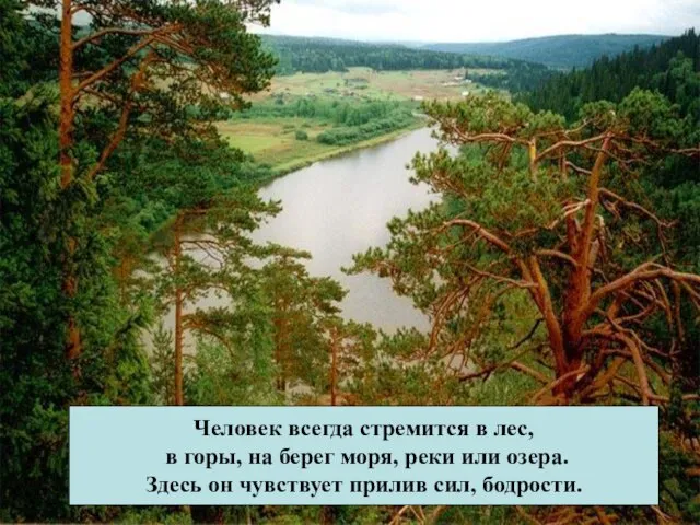 Человек всегда стремится в лес, в горы, на берег моря, реки или