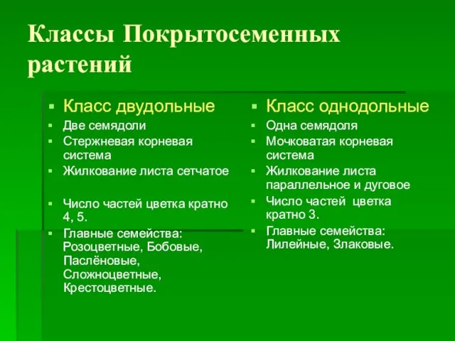 Классы Покрытосеменных растений Класс двудольные Две семядоли Стержневая корневая система Жилкование листа