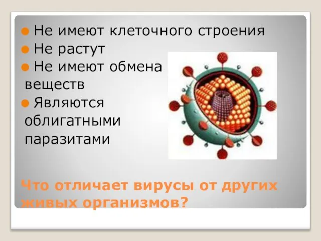 Что отличает вирусы от других живых организмов? Не имеют клеточного строения Не