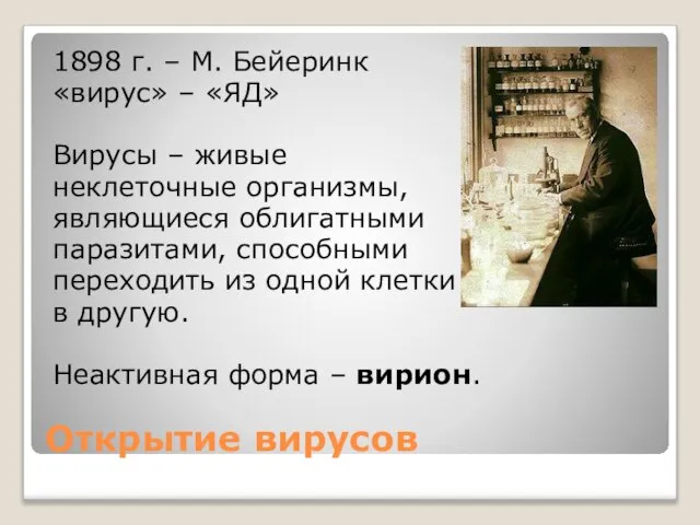 Открытие вирусов 1898 г. – М. Бейеринк «вирус» – «ЯД» Вирусы –