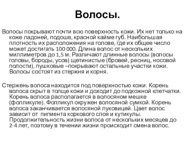 Волосы. Волосы покрывают почти всю поверхность кожи. Их нет только на коже