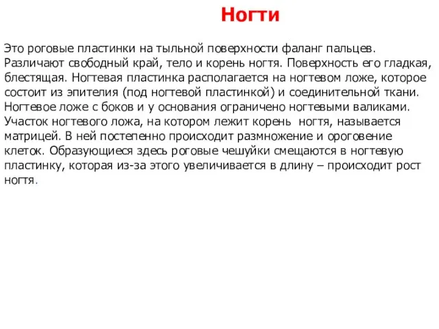 Ногти Это роговые пластинки на тыльной поверхности фаланг пальцев. Различают свободный край,