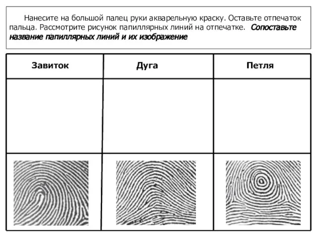 Нанесите на большой палец руки акварельную краску. Оставьте отпечаток пальца. Рассмотрите рисунок