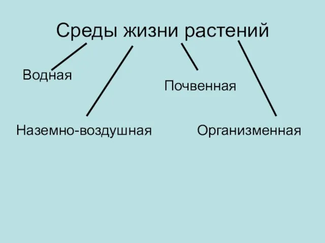 Среды жизни растений Водная Наземно-воздушная Почвенная Организменная