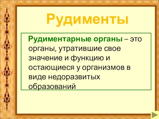 Рудименты Рудиментарные органы – это органы, утратившие свое значение и функцию и