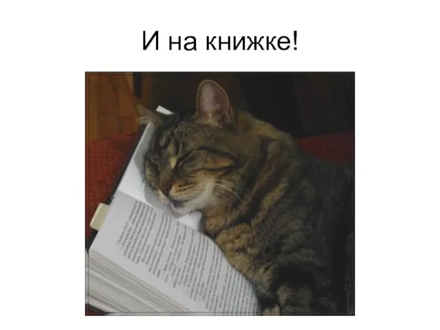 И на книжке!