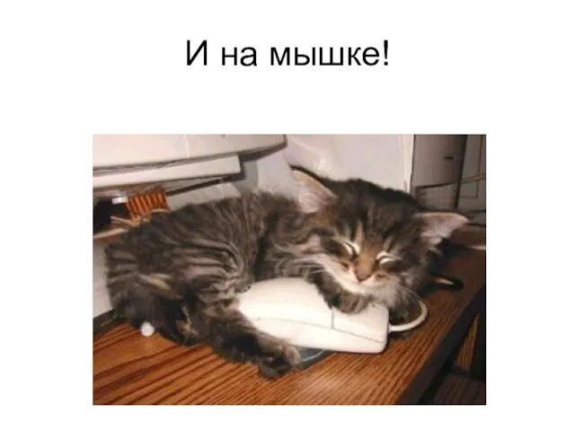 И на мышке!