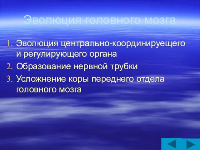 Эволюция головного мозга Эволюция центрально-координируещего и регулирующего органа Образование нервной трубки Усложнение