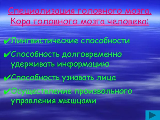 Специализация головного мозга. Кора головного мозга человека: Лингвистические способности Способность долговременно удерживать