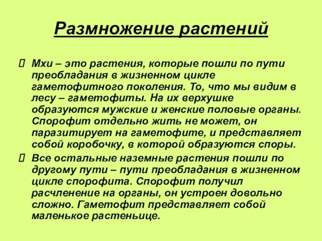 Мхи – это растения, которые пошли по пути преобладания в жизненном цикле