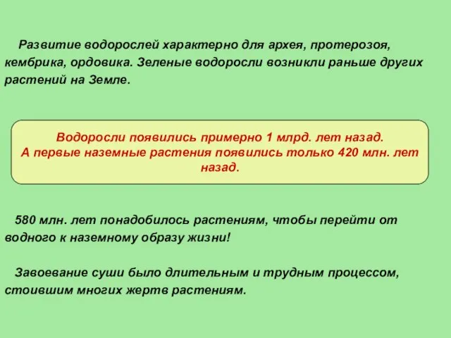 Развитие водорослей характерно для архея, протерозоя, кембрика, ордовика. Зеленые водоросли возникли раньше