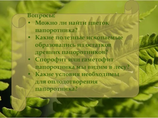 Вопросы: Можно ли найти цветок папоротника? Какие полезные ископаемые образовались из остатков