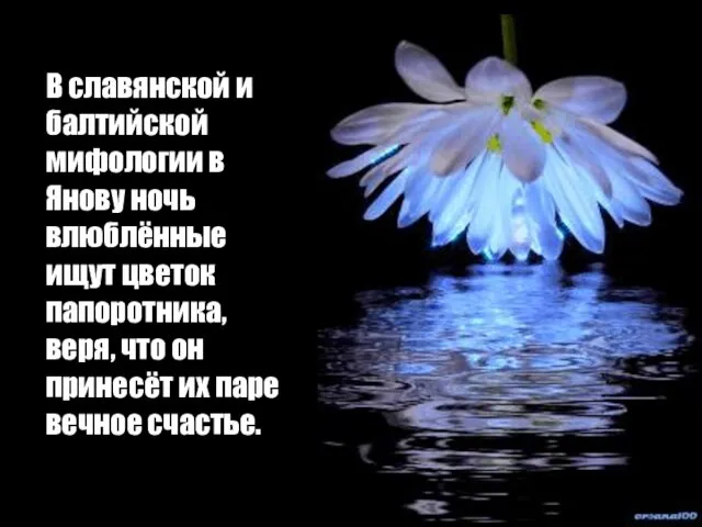 В славянской и балтийской мифологии в Янову ночь влюблённые ищут цветок папоротника,