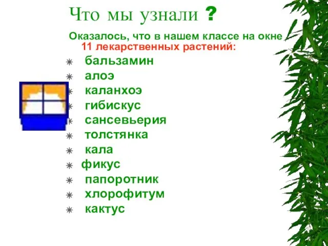 Что мы узнали ? Оказалось, что в нашем классе на окне 11