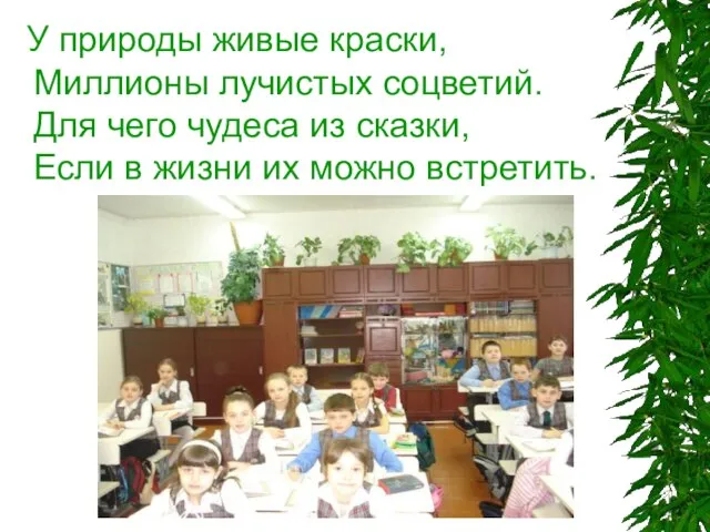 У природы живые краски, Миллионы лучистых соцветий. Для чего чудеса из сказки,