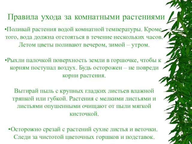 Поливай растения водой комнатной температуры. Кроме того, вода должна отстояться в течение