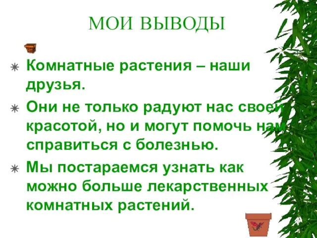 МОИ ВЫВОДЫ Комнатные растения – наши друзья. Они не только радуют нас