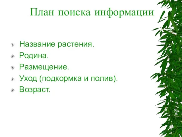 План поиска информации Название растения. Родина. Размещение. Уход (подкормка и полив). Возраст.