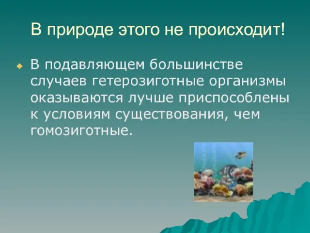 В природе этого не происходит! В подавляющем большинстве случаев гетерозиготные организмы оказываются