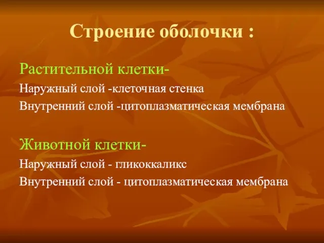 Строение оболочки : Растительной клетки- Наружный слой -клеточная стенка Внутренний слой -цитоплазматическая