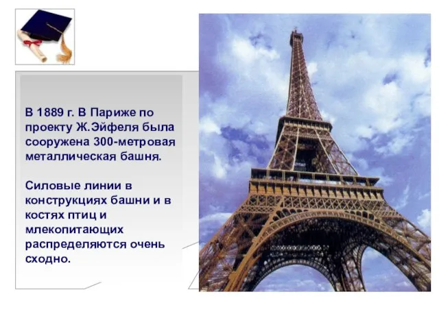 В 1889 г. В Париже по проекту Ж.Эйфеля была сооружена 300-метровая металлическая