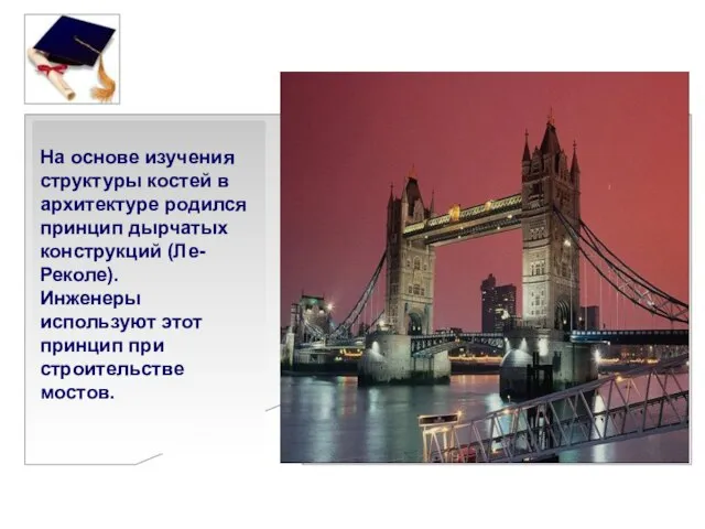 На основе изучения структуры костей в архитектуре родился принцип дырчатых конструкций (Ле-Реколе).