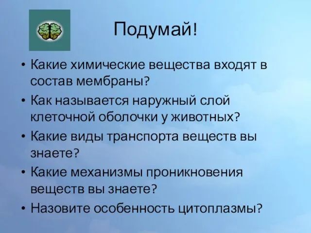 Подумай! Какие химические вещества входят в состав мембраны? Как называется наружный слой