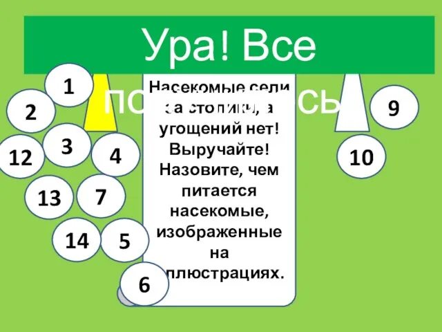 Иркутская область Из других областей Насекомые сели за столики, а угощений нет!