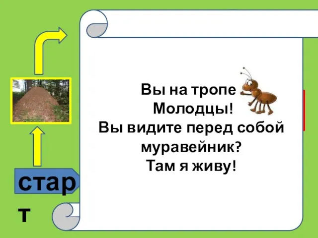 старт ? ? Это надо знать Вы на тропе! Молодцы! Вы видите